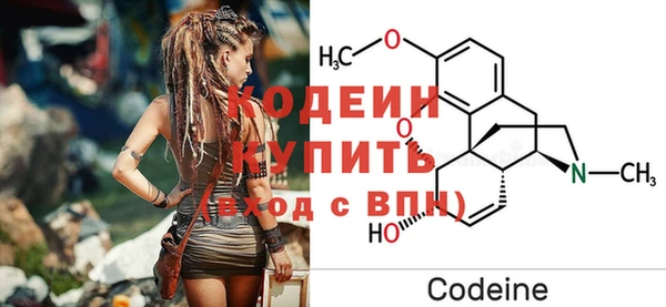 прущий лед Бородино