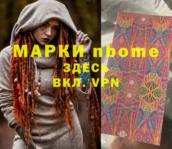 прущий лед Бородино