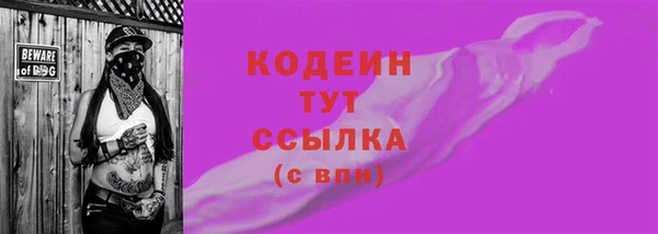 прущий лед Бородино