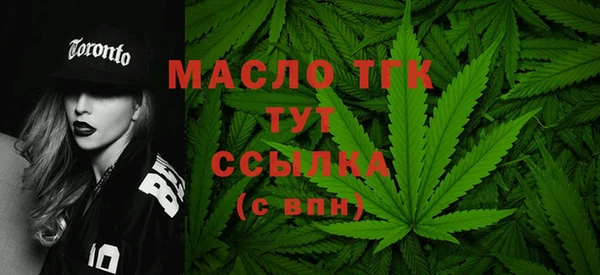 прущий лед Бородино