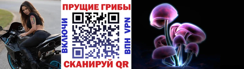 Галлюциногенные грибы ЛСД  Славянск-на-Кубани 
